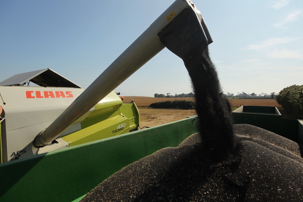 Keith Symes harvesting spring oilseed rape for Wicklow Rapeseed Oil at Blainroe, Co Wicklow. The crop yielded exceptionally well at 1.5 tons/acre.